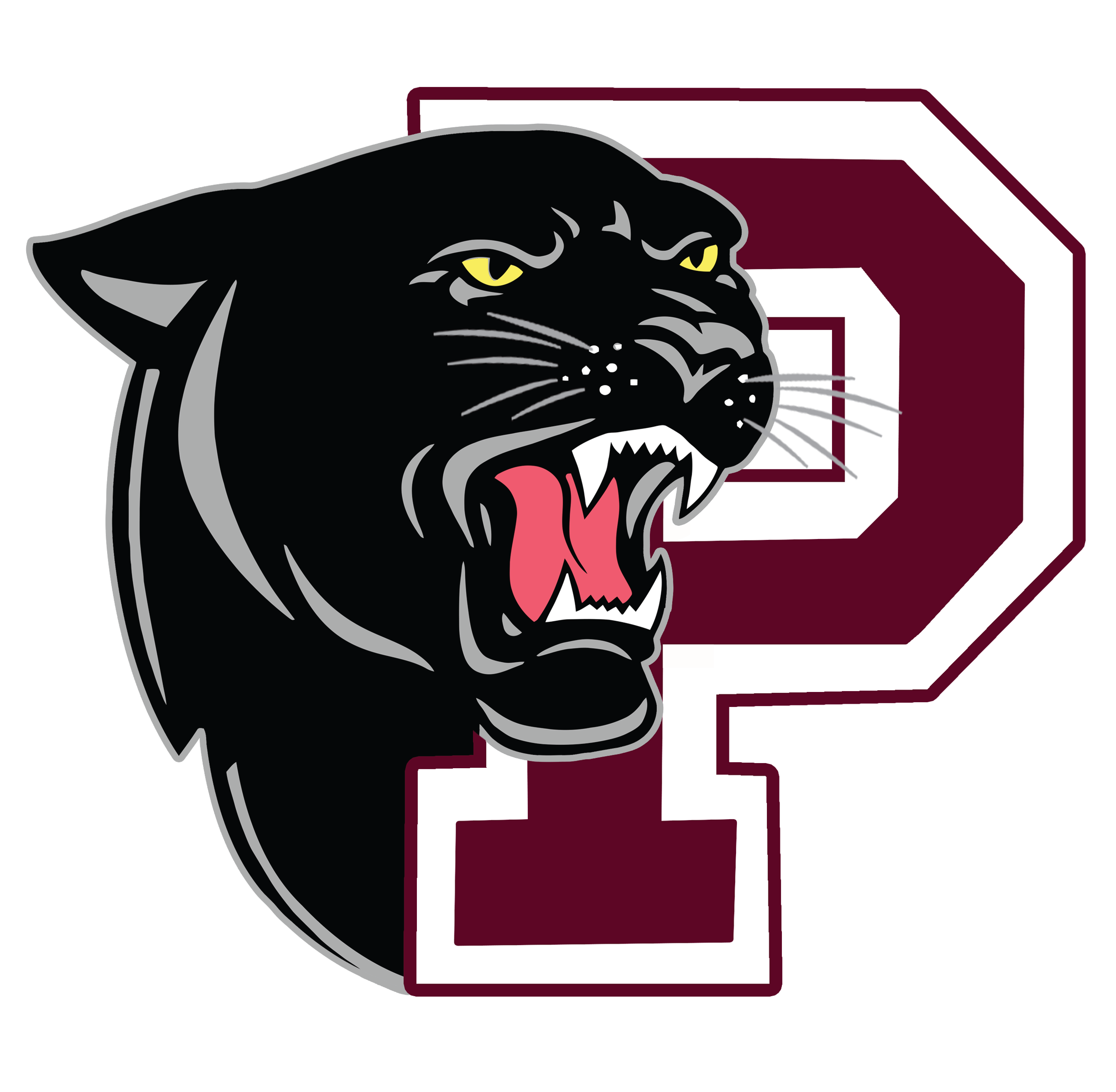 District Logo